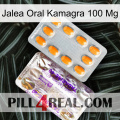 Oral Jelly Kamagra 100 Mg new12